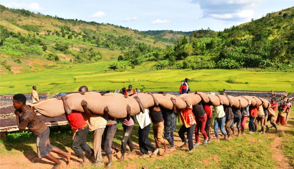 Hafi - Burundi - Image 2