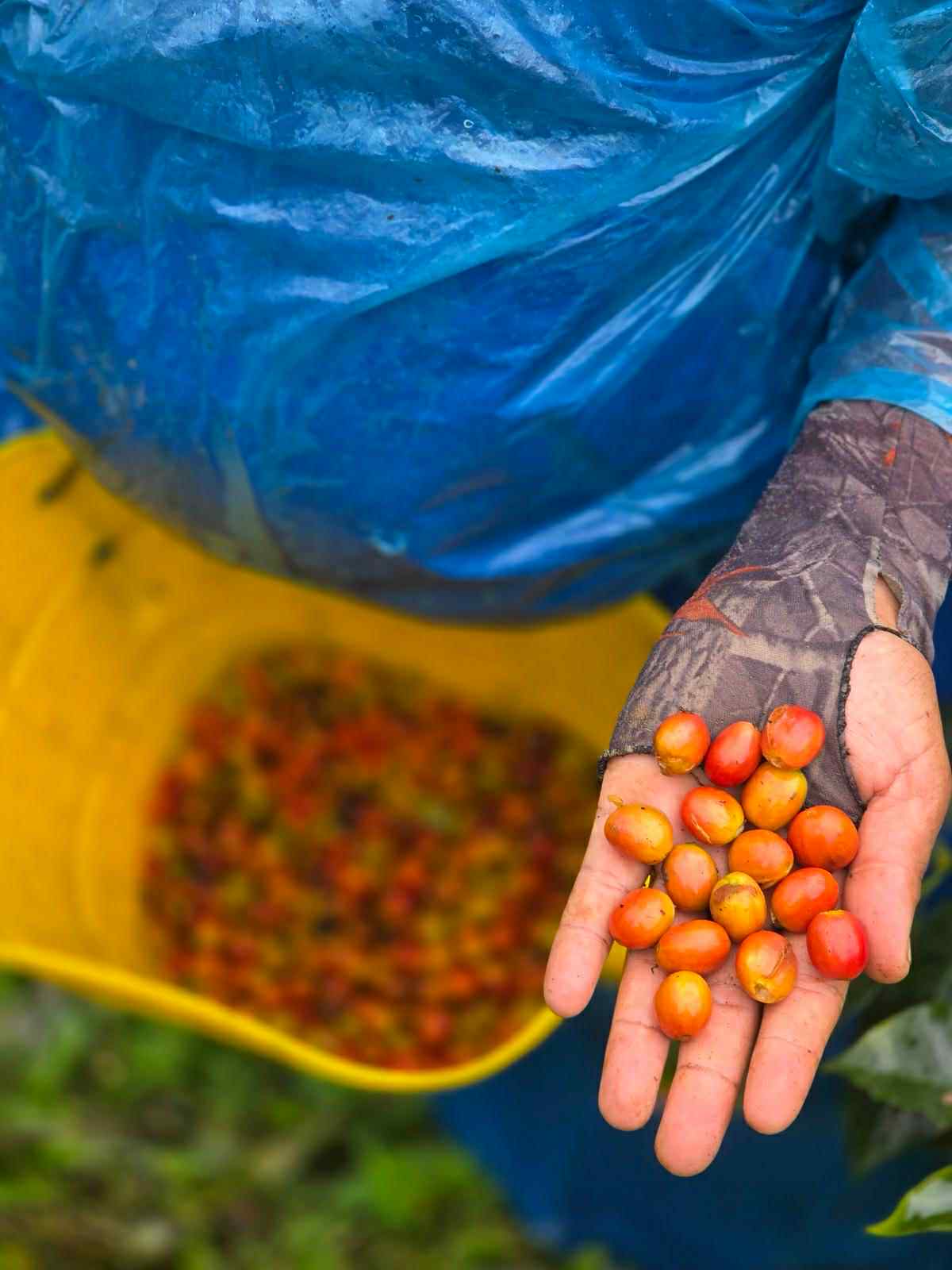 Abonnement - Profil Audacieux - Image 2