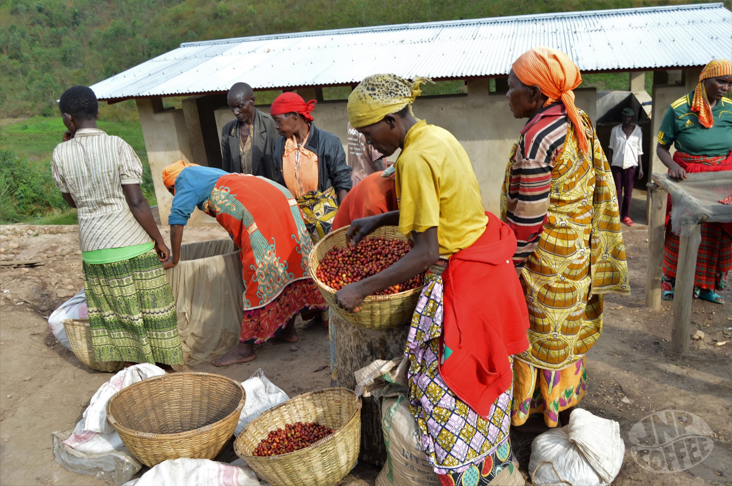 Turihamwe - Burundi - Image 5
