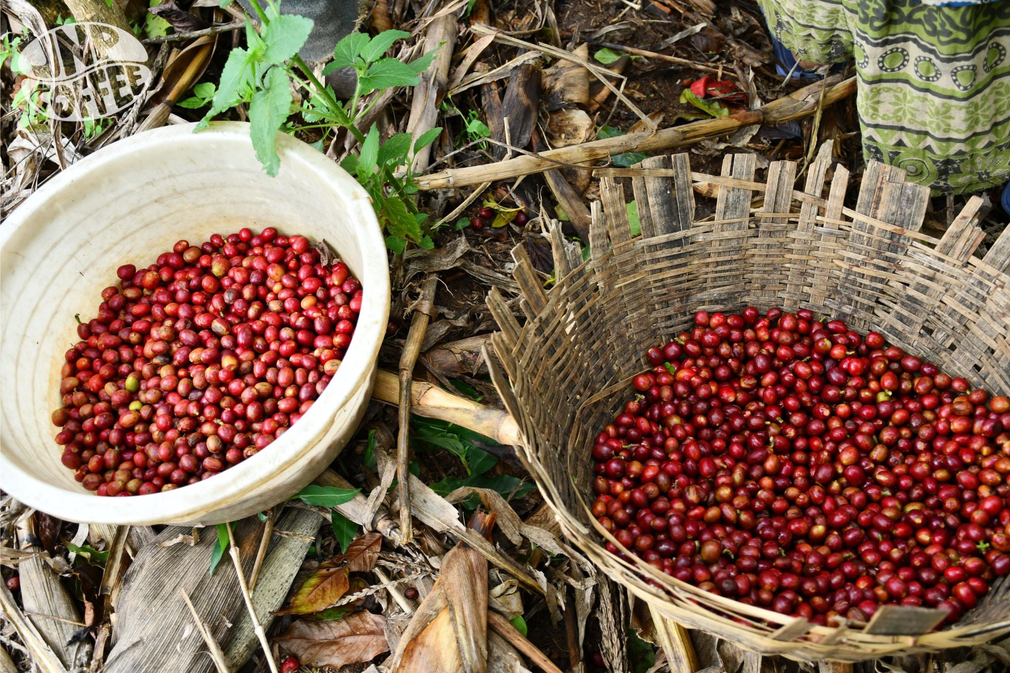 Turihamwe - Burundi - Image 3
