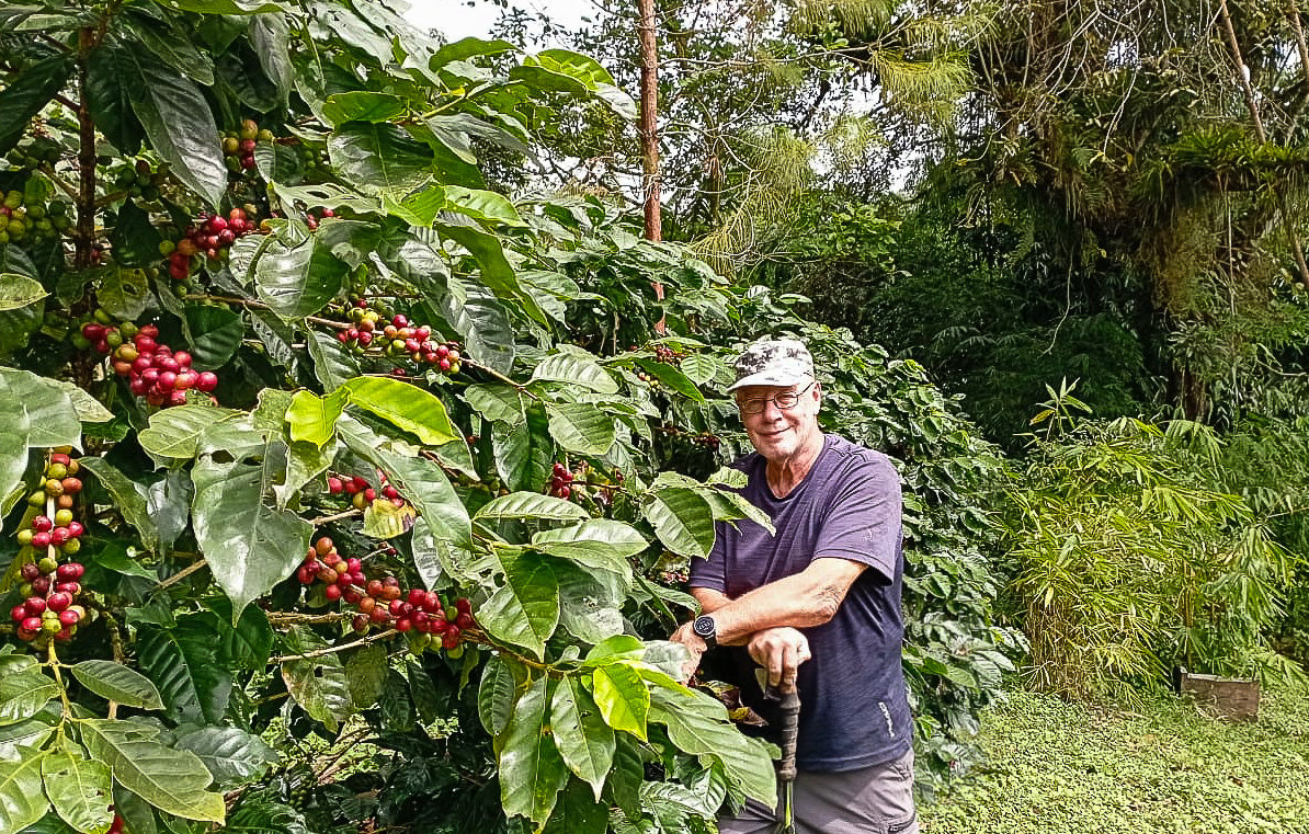 Bambou- Nicaragua - Image 8