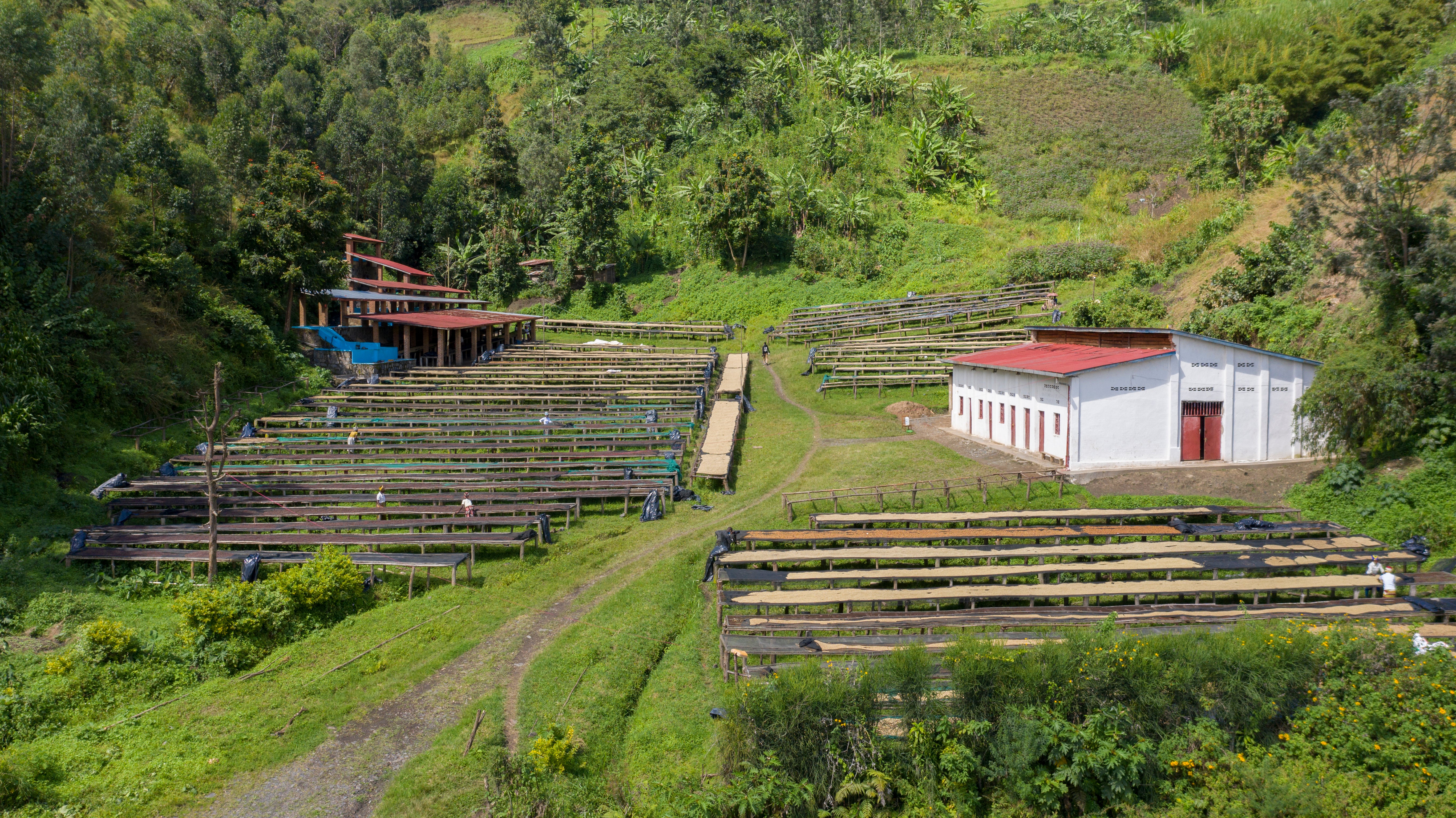 Bikunda - Rwanda - Image 4