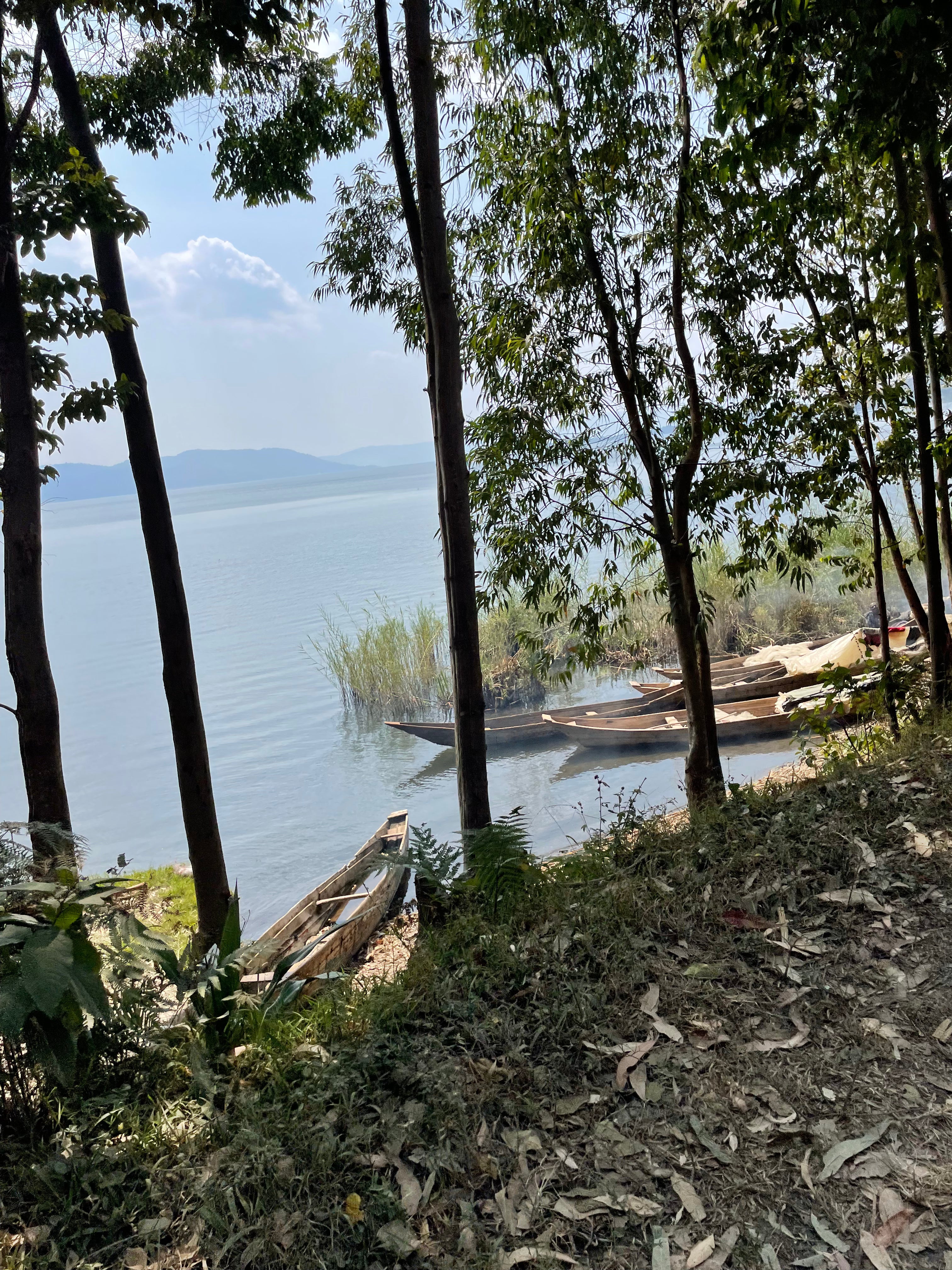 Bikunda - Rwanda - Image 6