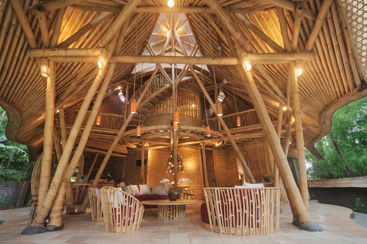 Bambou- Nicaragua - Image 6