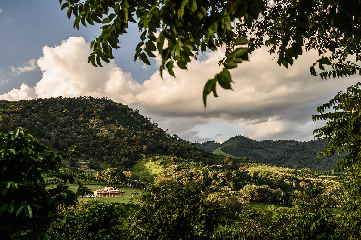 Dez Familias - Brésil - Image 5